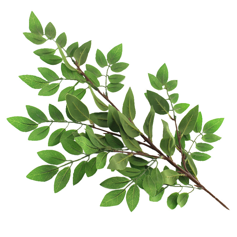 b57d0394d7cc259724c9564244a674