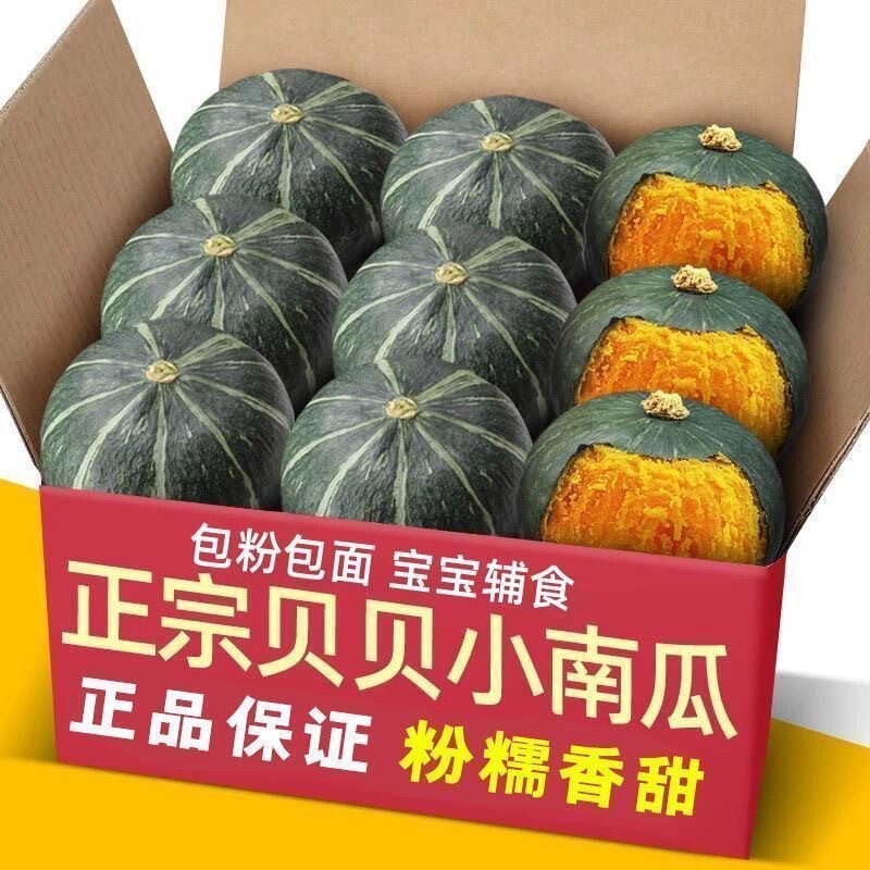 Authentic Beibei Pumpkin with Chestnut Flavor 2.5kg Fresh Small Pumpkins Seasonal Vegetables Baby Pumpkins Non-Huihe No. 1 Authentic Beibei Pumpkin with Chestnut Flavor 2.5kg Fresh Small Pumpkins Seasonal Vegetables Baby Pumpkins Non-Huihe No. 1