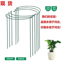 半圆支架植物桩花支撑半圆形金属植物支撑环牡丹笼花园桩支撑架子