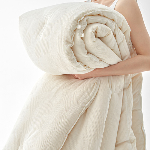 Japanese type A double-layer yarn pure cotton quilt core summer quilt Li Guanqi soybean quilt spring and autumn quilt warm and thickened winter quilt T