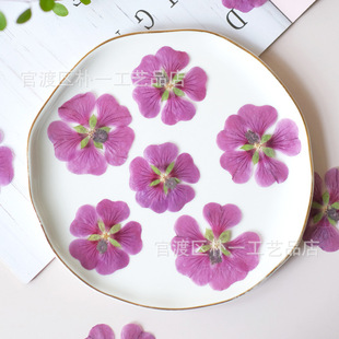 ľ�Ȼ� Ѻ���ɻ�diy�R���������z�Ʒ�����޹Ϟ�T��ĉ������~��