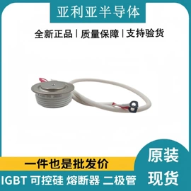 IGBT模块;集成电路;普通晶闸管