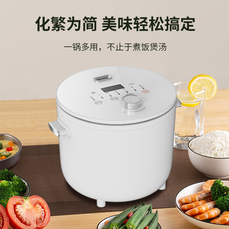 [2L 소금물밥솥 화이트] MZ-202