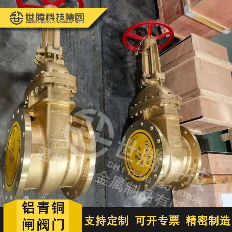 C95800镍铝青铜软密封美标闸阀 Z45X-16T 阀门C95500双相不锈钢闸