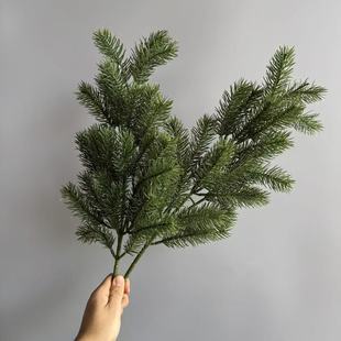 �}�Q������Zؐ�� �}�Q���b�����֦��ֲ�� ���~�_�h�ɼ��ɘ�֦