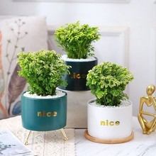 �����ֽо���߀���,ʯ��,�Ұز�,�SƤ�����҃����ԾGֲ ���B�׻�