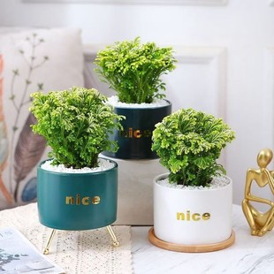 �����ֽо���߀���,ʯ��,�Ұز�,�SƤ�����҃����ԾGֲ ���B�׻�