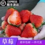 新鲜红颜奶油水果