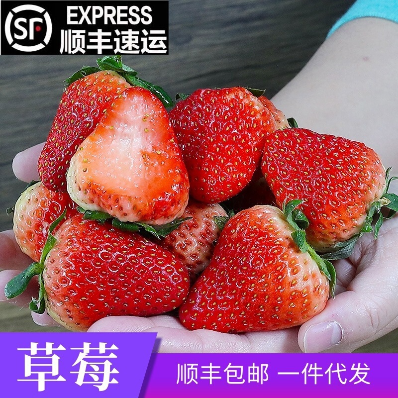 Sf Express Free Shipping Strawberry Fresh Fruit Daliangshan Cream Red Strawberry Fresh Fruit 99 Fresh Strawberries Dropshipping
