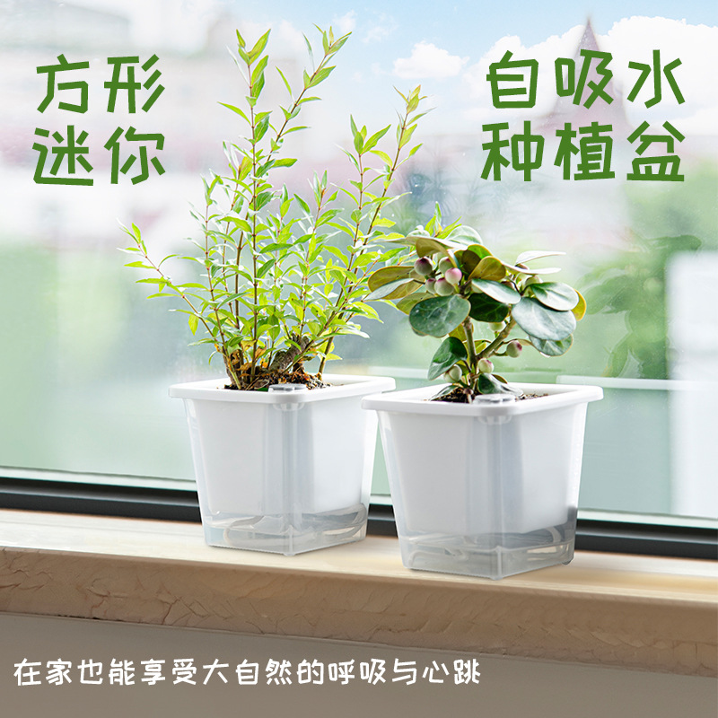 Small Balcony Vegetable Planting Pots, Self-Watering Flower Pots for Windowsills, Succulent Trays, Home Gardening Green Pots