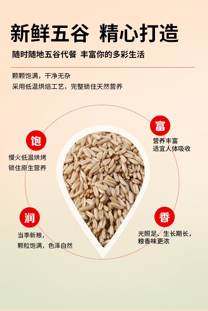 Cooked Oat Groats 500g Low Temperature Roasted Whole Grain for Porridge and Milling quality and texture