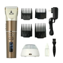 ����Q16��Ƽ����l�������I�Լ�늄����^�����l������������l��