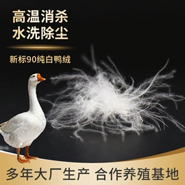 羽毛、羽绒;被套;羽绒被