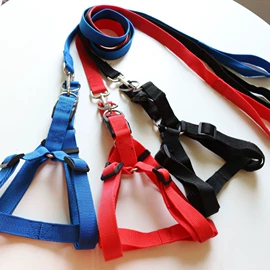 狗狗牵引;宠物围巾