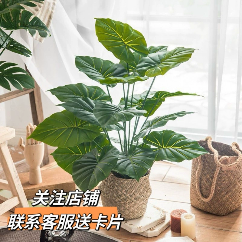 [17,1 тысячи человек] скандинавская гостиная, искусственное зеленое растение, черепаха, зеленые растения, украшения, искусственные цветы, стильное украшение, маленькое