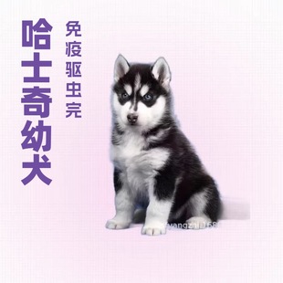 ���N��ʿ��Ȯ��Ȯ���w������ʿ��ѩ��Ȯ�{�۾�����С����������Ȯ