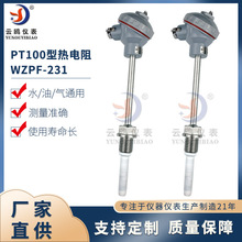 WZPF-231铁氟龙热电阻烧结四氟PTFE铂热电阻温度传感器防腐热电阻