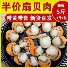 ���r�F����ؐ�⺣�����Ұ��������ؐؐ�ȫؐ���غ��rˮ�a���l