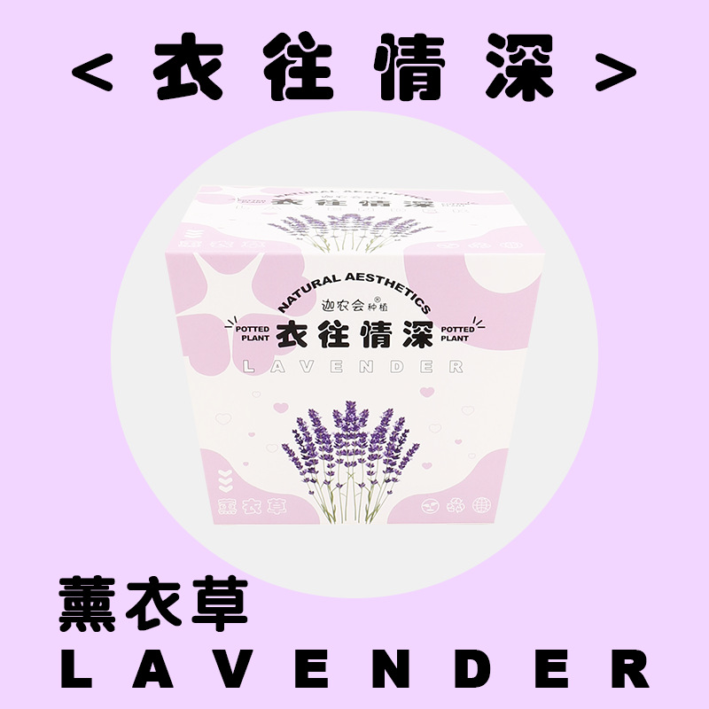 깊은 사랑에 옷 (라벤더)