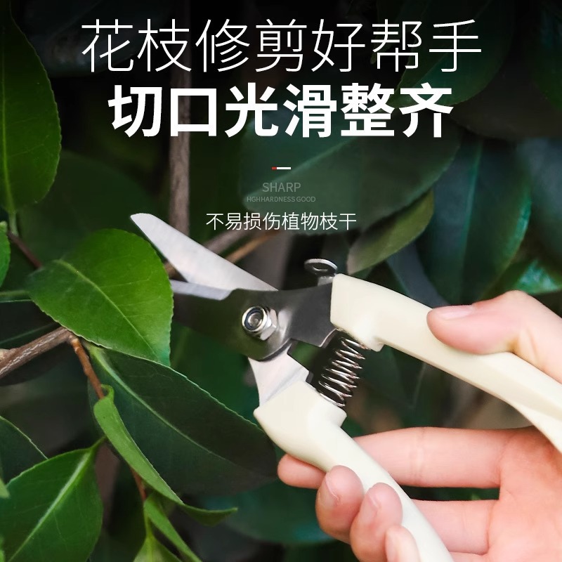 【新人专享0.01】园艺园林果树剪刀修剪树枝盆栽工具家用绿化剪刀