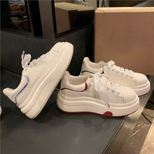 ۈA^ƤװЬŮ2025¿eٴmϵСЬ