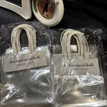 透明网红礼品饰品手提袋石膏娃娃手提袋针织花简约时尚diy包伊望