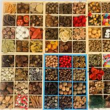 100�N�����ɹ�ľƬ���~�ɻ��ɹ��M�����b�׃��@�b[���͹ŵ���