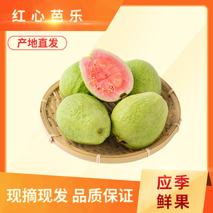 �t�İŘ����V����