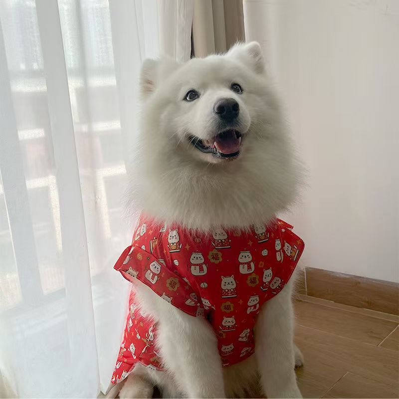 New Samoyed Golden Retriever Labrador Skirt Spring and Summer Style Small, Medium and Large Dog Photography Decoration