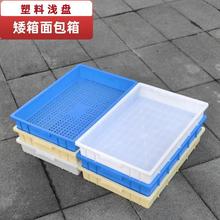 ���ϰ���\�P�бP���U��͸��ʳƷ����������ɼܸ��c��̫��ɳ�P