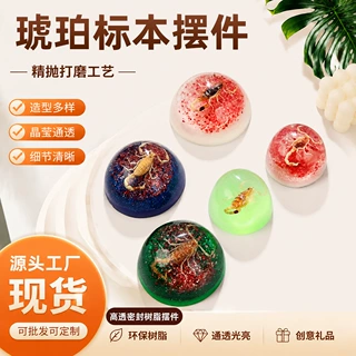厂家批发琥珀动物标本配件平底半圆球树脂工艺品手工diy树脂配件