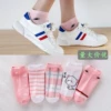 Women's Stockings 【Giant Cat】