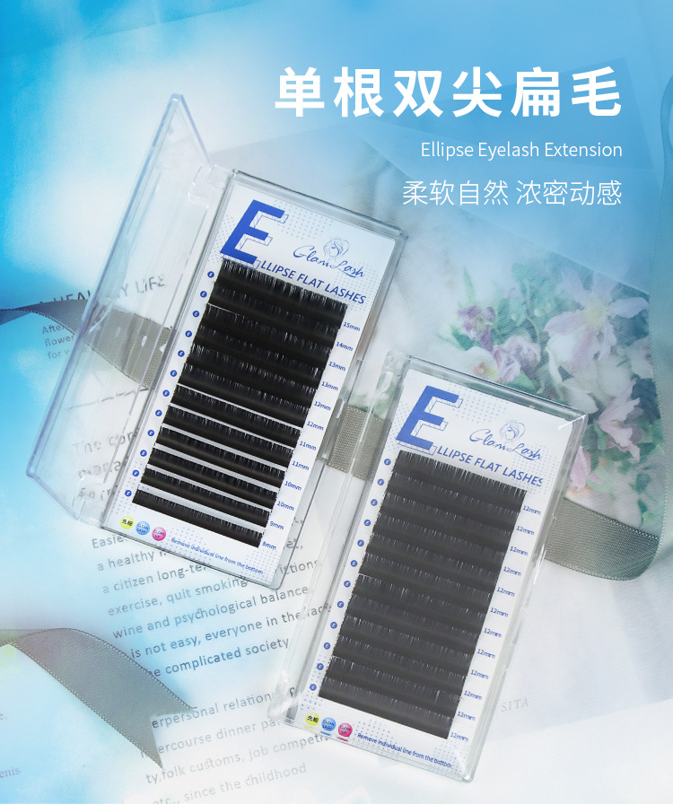 单根扁毛双尖扁毛 单根扁毛双尖扁毛