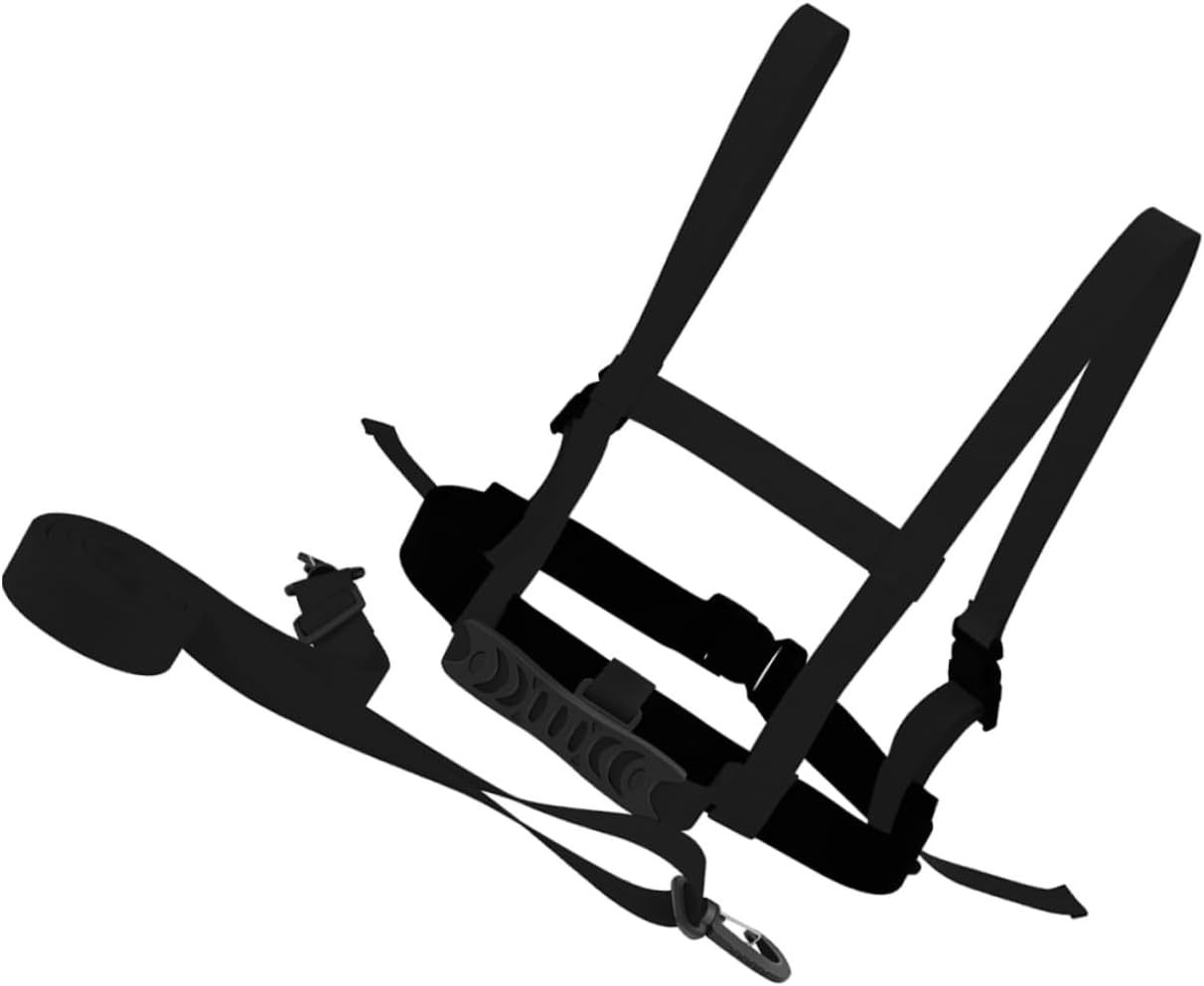 51O5LY-gxDL._AC_SL1224_