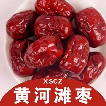 ɽSӴ󗗼tɗʳlݲͶYtȻ