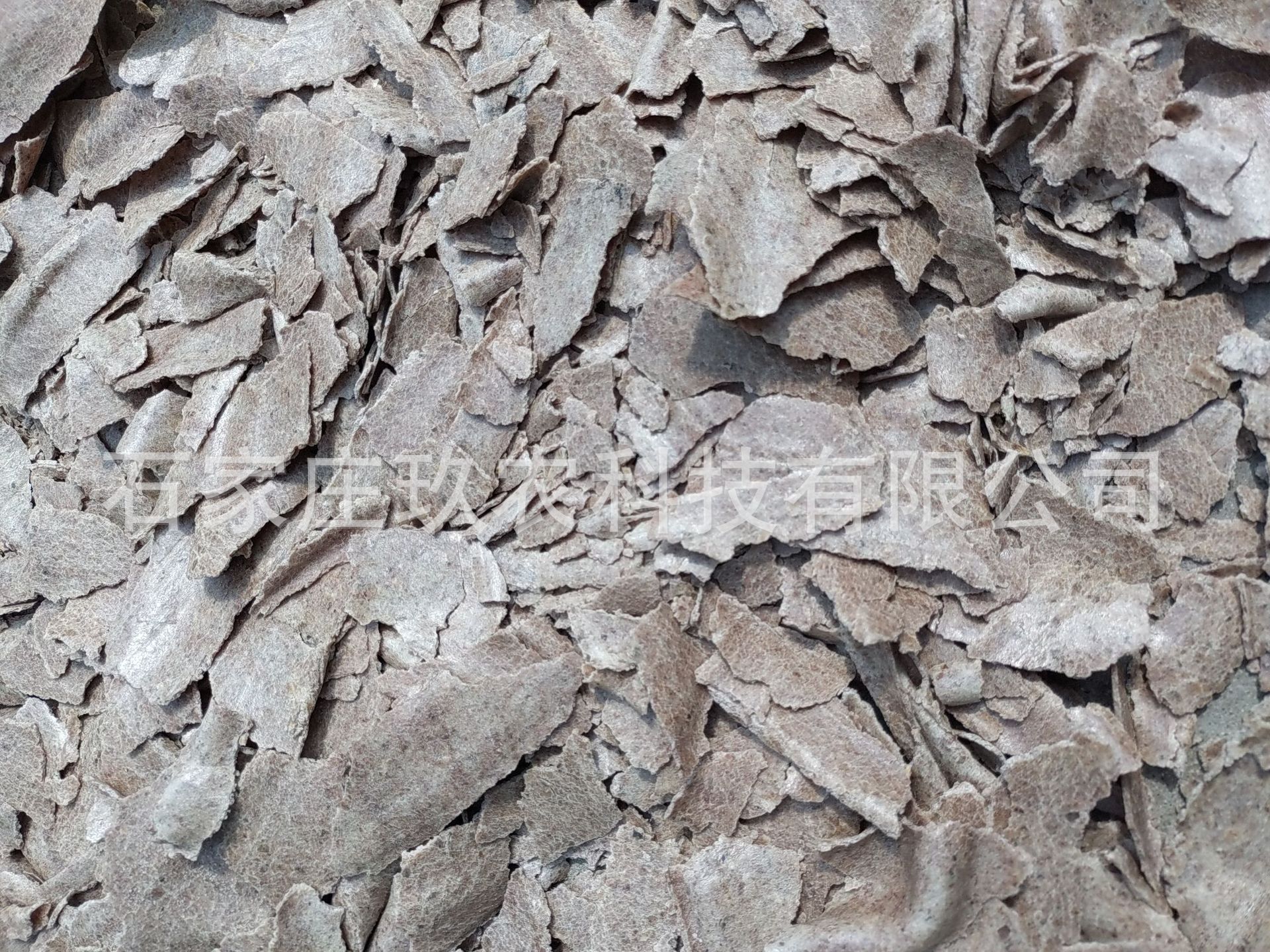 718a1ebfb14455ac806ab72a34f4f2