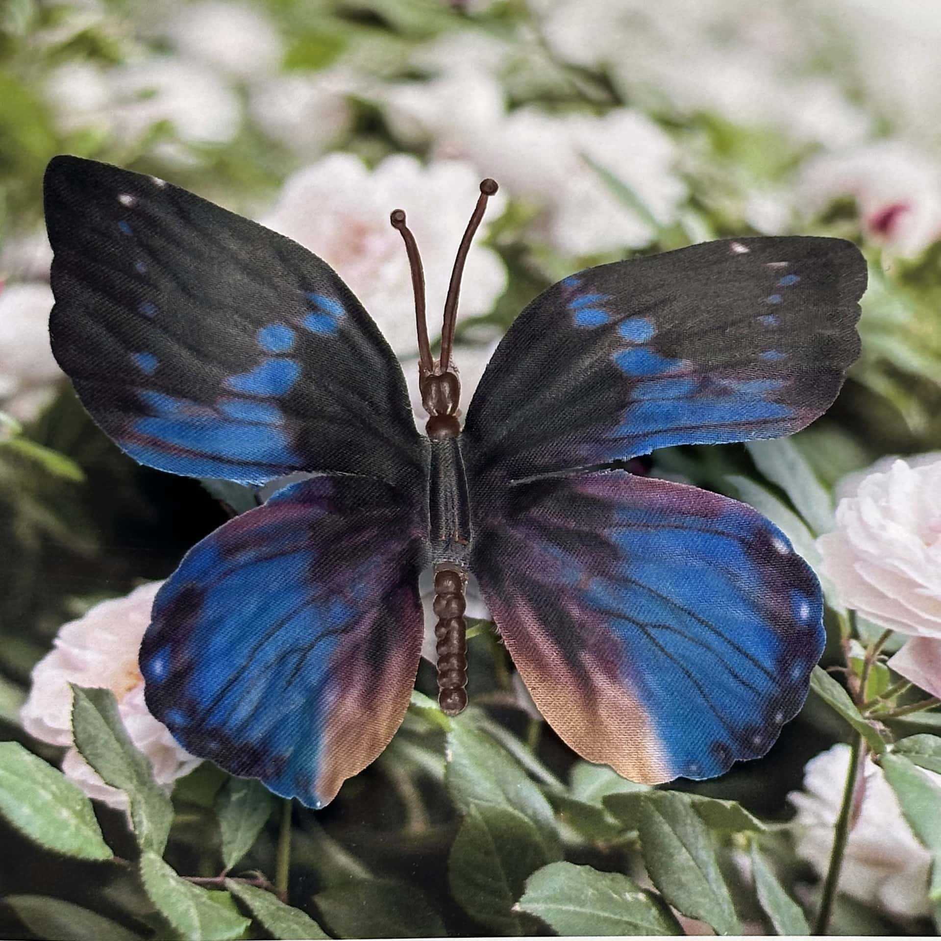 Seda 11CM color mariposa talla grande 19