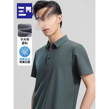 S022-QO12579男士保罗品牌单POLO领网眼