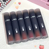 LJUY Macaroon Reversion Matte Labial glaze Lipstick Nude color Homegrown products Beauty Parity student