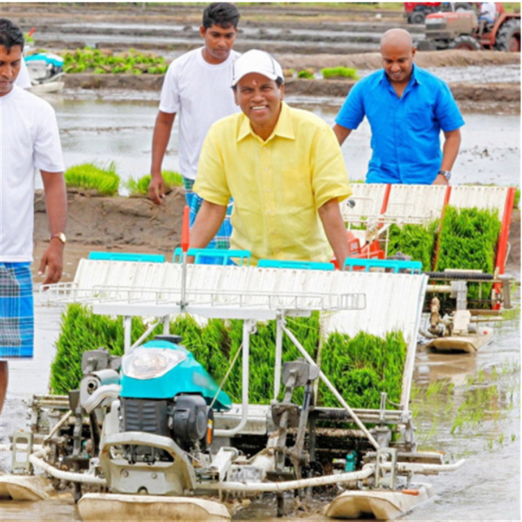 江苏手扶插秧机厂家 手推水稻种植机 汽油水稻插苗机视频