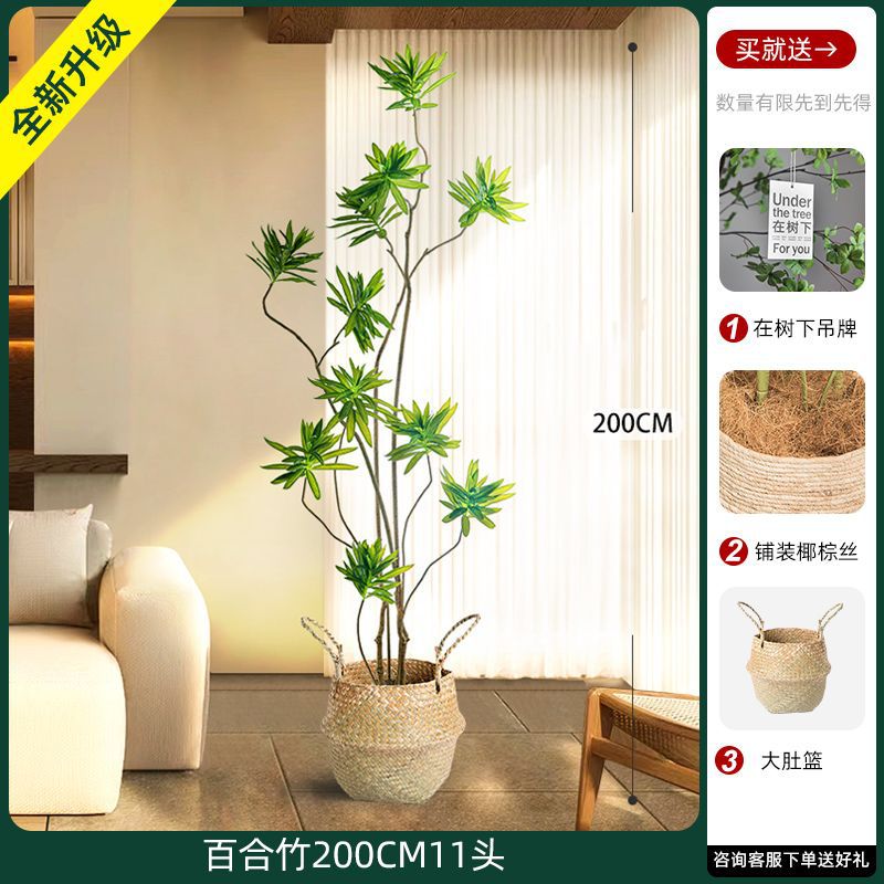 [W Ruyi Bamboo] Khung mây 200CM11
