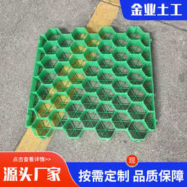 定制HDPE植草格消防通道停车场用 绿化塑料植草格 园林植草格栅