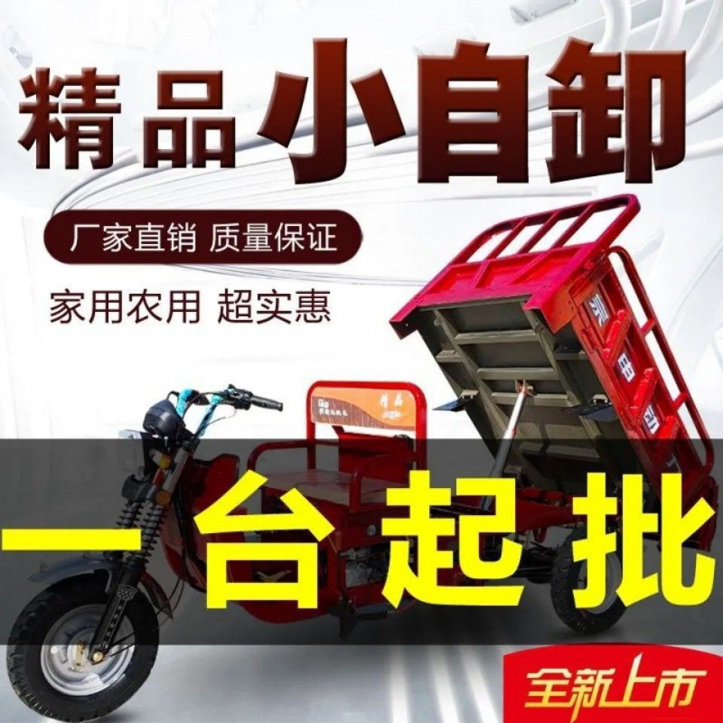 Las motocicletas de tres ruedas se pueden utilizar en la licencia, ciclomotor Zongshen Longxin, camión volquete pequeño, vehículo eléctrico de imitación de carga