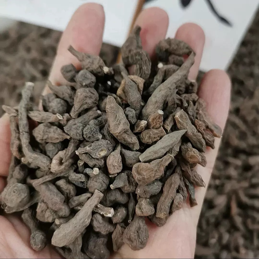 Dried Ginseng Fruit Slices Ren Shen Guo Sun Dried Herbal Culinary Use 100g Box key features