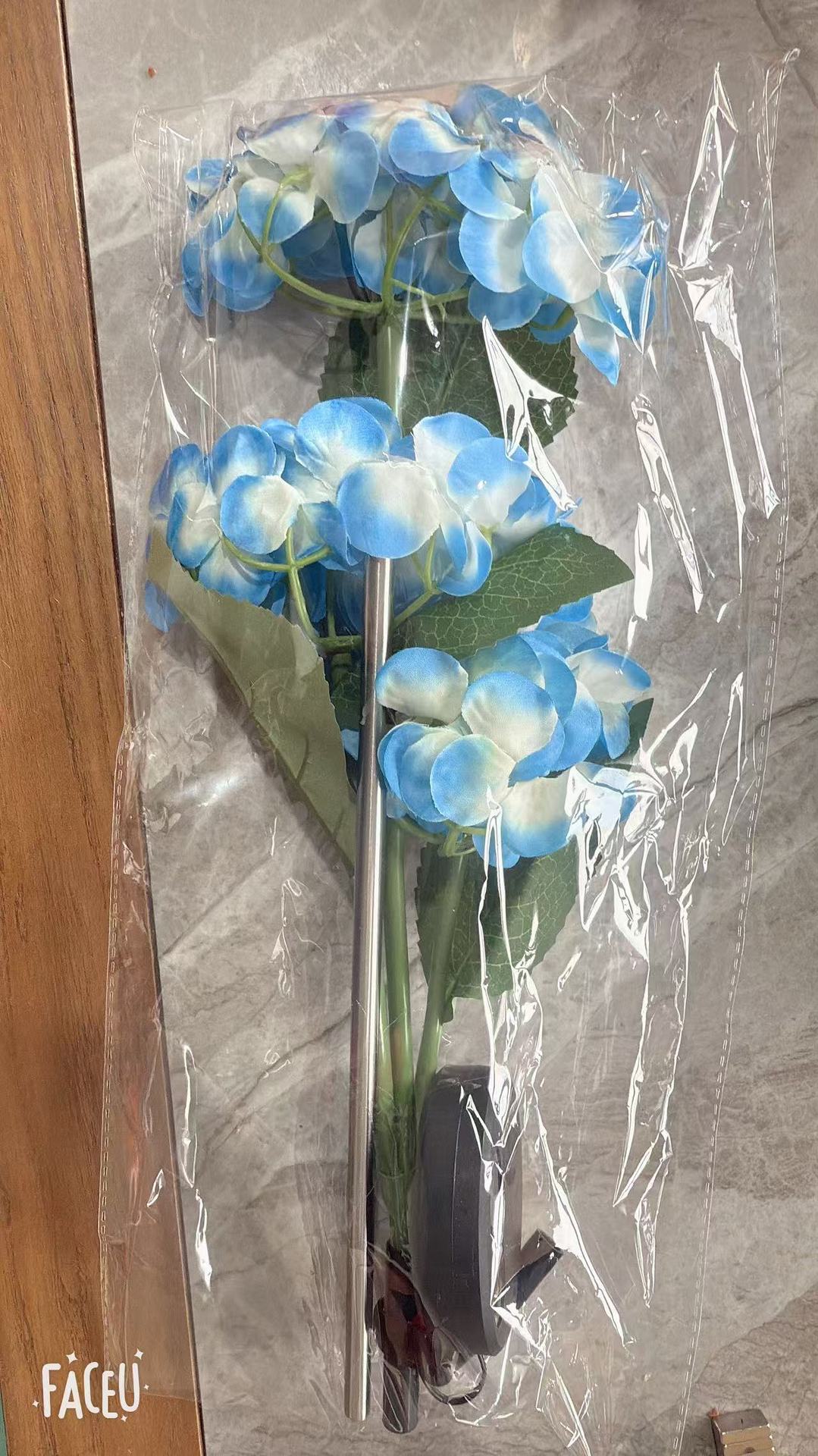 Lámpara solar transfronteriza