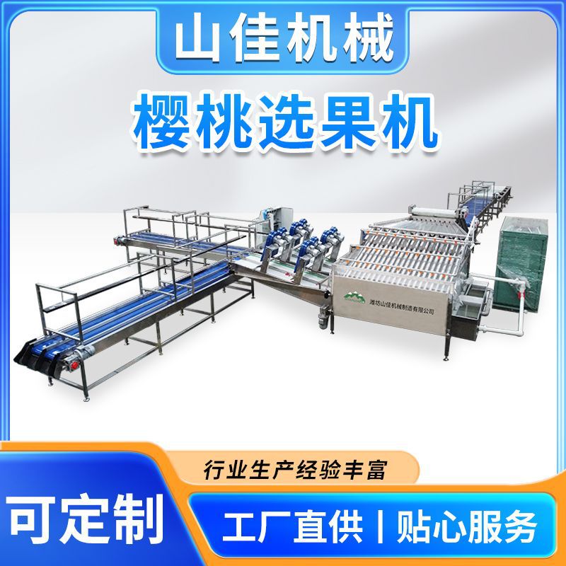 车厘子直径筛选清洗大樱桃自动分挑金桔杨梅多规格筛挑生产线