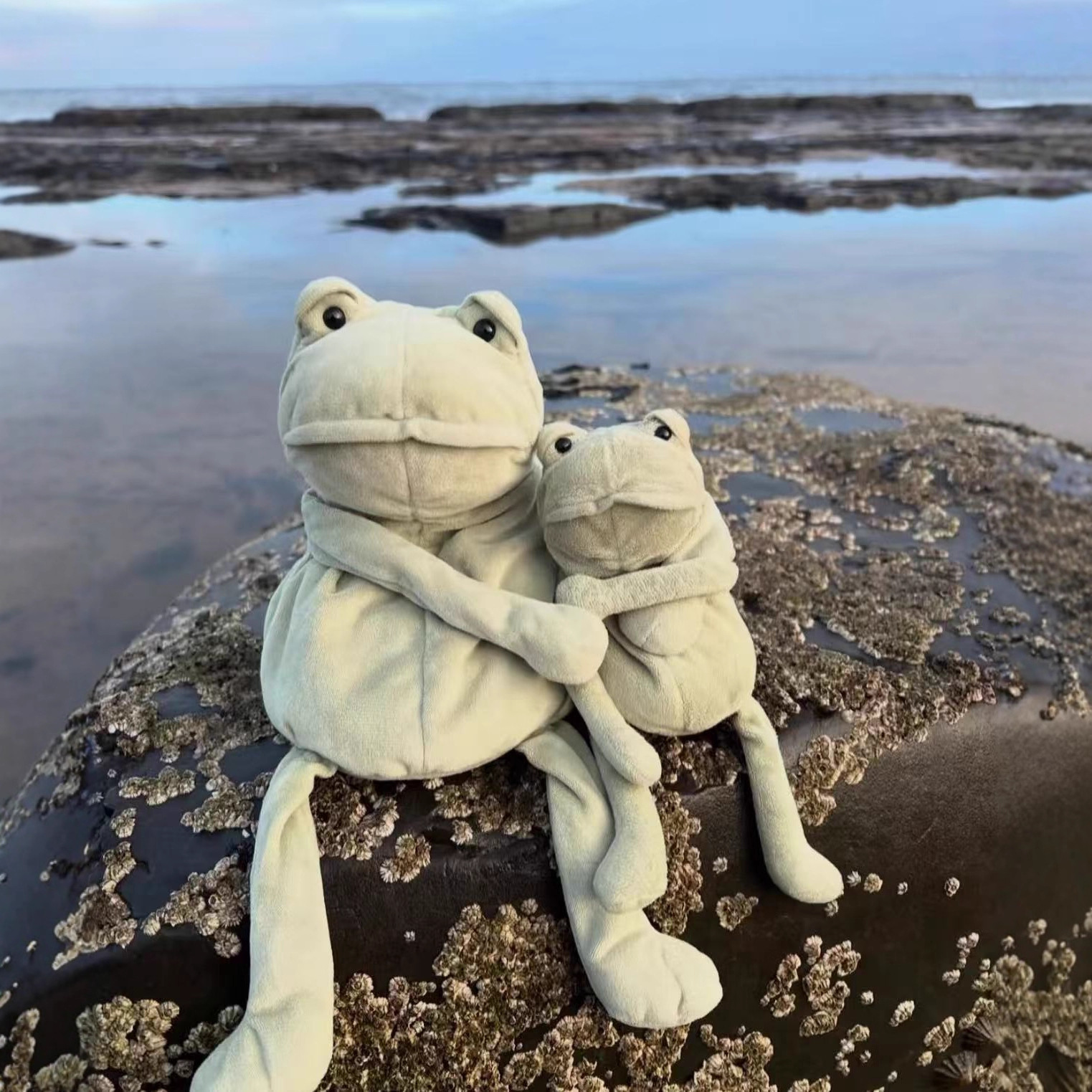 コレクション1;