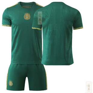 2025ī����ڽ���T�Gɫ�����Ropa de f&uacute;tbol para jugadores