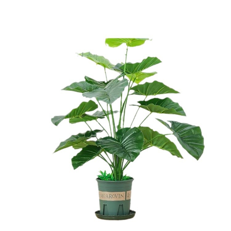 Dripping Guanyin Simulación Planta verde Estilo nórdico Simulación Planta Adornos Interior Bonsai Simulación al por mayor Planta en maceta