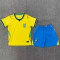 26-27 brazil home game